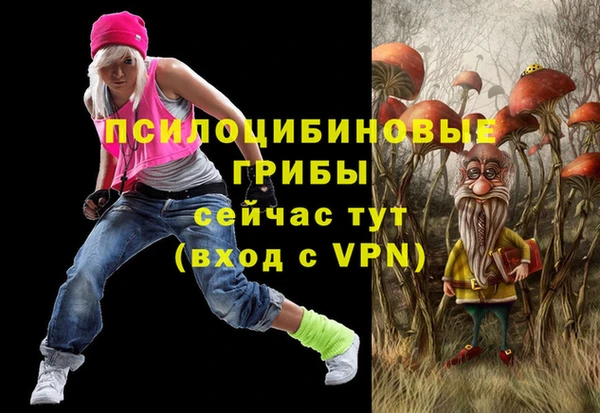 твердый Семилуки