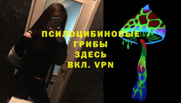 твердый Семилуки