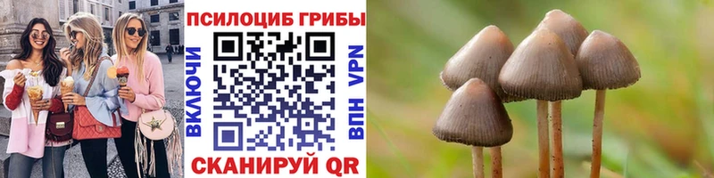 Купить  Малаховка  Галлюциногенные грибы мицелий 